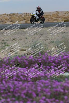media/Jan-14-2023-SoCal Trackdays (Sat) [[497694156f]]/Turn 14 Exit Bloomig (145pm)/